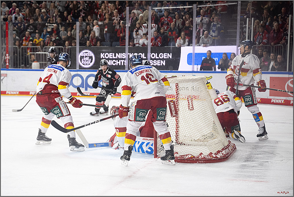 PENNY DEL 1; Kölner Haie - Düsseldorfer EG ; Köln, 16.02.2025